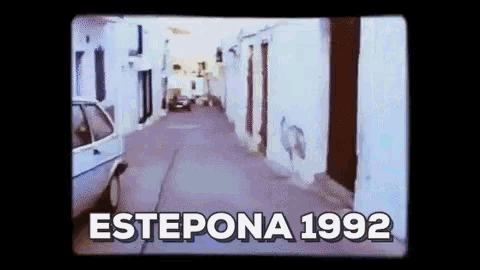 Estepona1992 España GIF