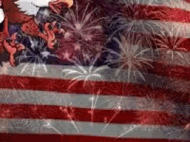 a close up of an american flag with fireworks in the background .