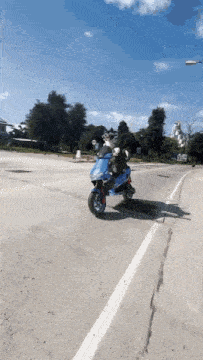 Dogs Scooter GIF