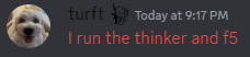 a picture of a dog with the words " turfft today at 9:17 pm i run the thinker and f5 " below it