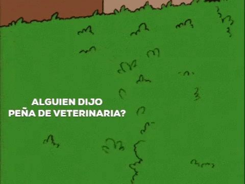 Veterinaria Peña GIF - Veterinaria Peña Homero GIFs