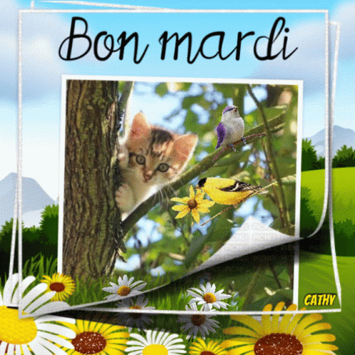 Bon Mardi GIF - Bon Mardi GIFs
