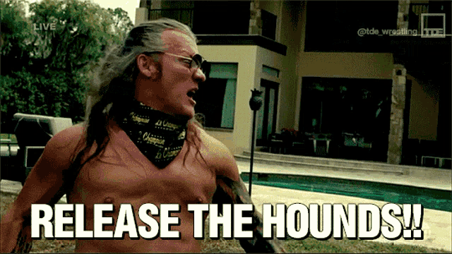 Chris Jericho Release The Hounds GIF
