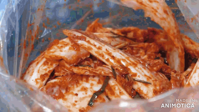a close up of a bag of food with the words made in animatica at the bottom