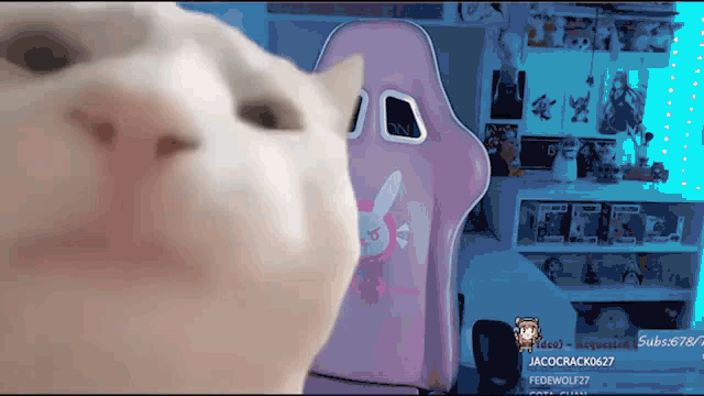 Miku Miku Cat GIF - Miku Miku Cat GIFs