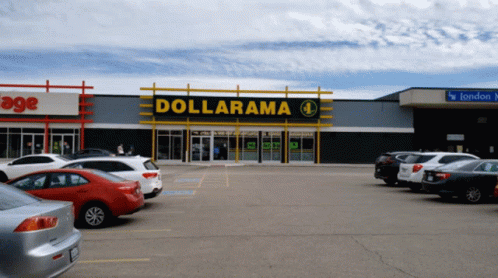Dollarama Dollar Store GIF - Dollarama Dollar Store Canadian GIFs