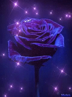 Rose Purple GIF - Rose Purple Sparkle GIFs