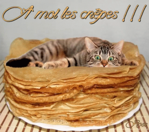 Crepes Cat GIF - Crepes Cat Cats GIFs
