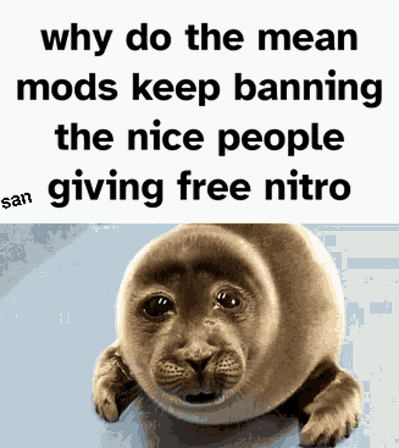 Why Do The Mean Mods Sanat1ve GIF - Why Do The Mean Mods Sanat1ve Why Do The Mean GIFs