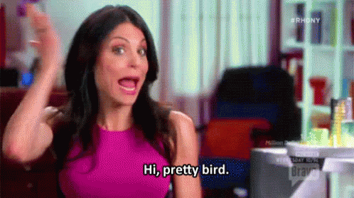 Pretty GIF - Real House Wives Bethany Frankel Pretty GIFs