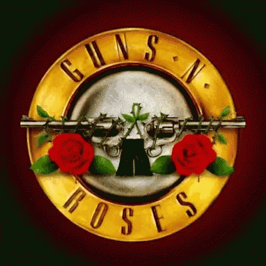 Guns And Roses GIF - Guns And Roses GIFs
