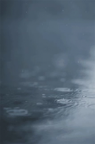 Sprinkling Rain GIF - Sprinkling Rain Water GIFs