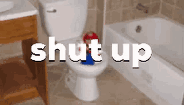 a bathroom with a toilet , sink and bathtub and the words shut up