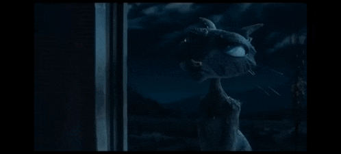 a person is holding a black cat 's paw in front of a window at night .