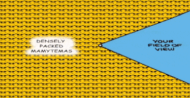densely packed mamytemas is written on a yellow and blue background