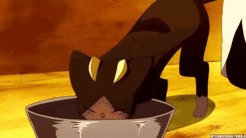 a cat is drinking water from a bowl with a watermark that says mycomicbook tumblr