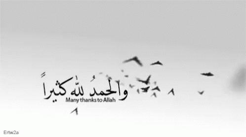 Many Thanks To Allah Allah GIF - Many Thanks To Allah Allah GIFs
