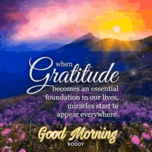 when gratitude becomes an essential foundation in our lives , miracles start to appear everywhere good morning