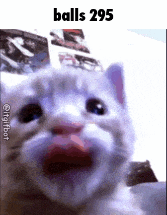 a close up of a cat 's face with the words balls 295 written above it .