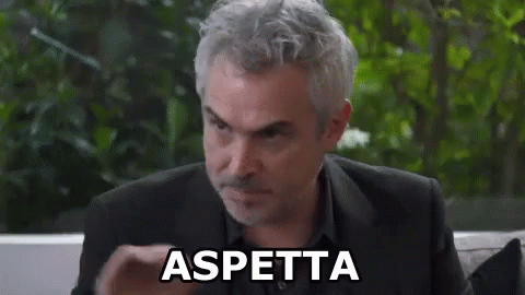 Alfonso Cuaron Aspetta Spetta Un Attimo Fermo GIF - Alfonso Cuaron Wait Wait A Minute GIFs