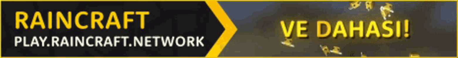 a banner for raincraft play raincraft network