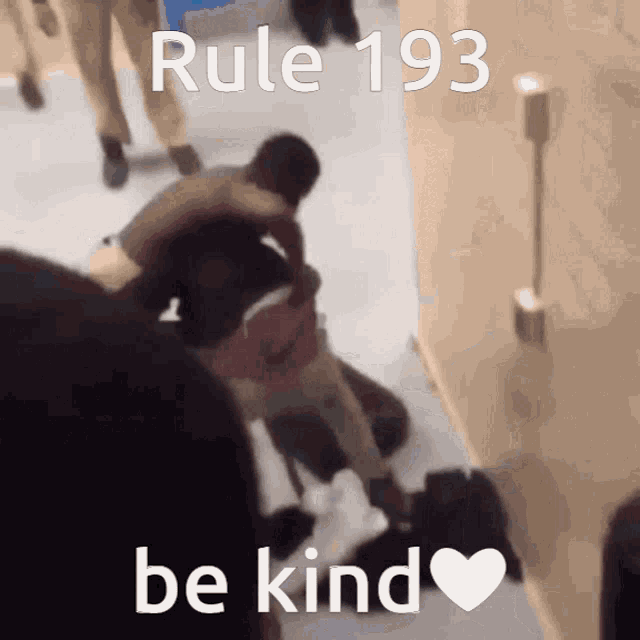 rule 193 be kind is written on a picture of people fighting