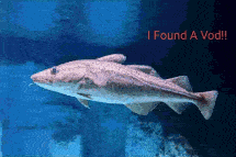 a picture of a fish with the words " i found a vod " written above it