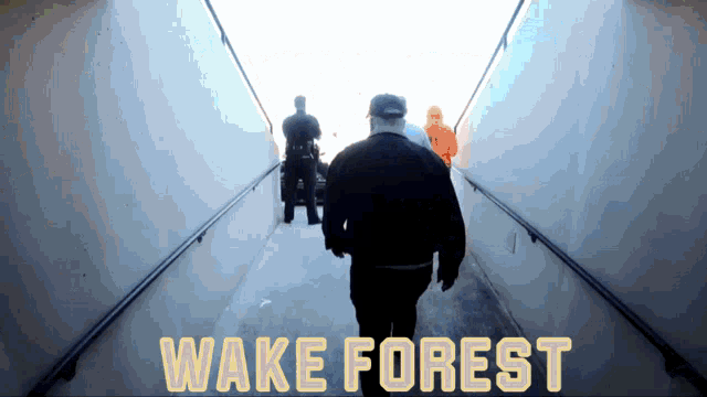 Wake Forest Wake Football GIF - Wake Forest Wake Football Wfu GIFs