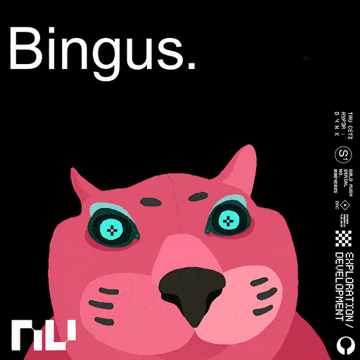 a pink cat on a black background with the word bingus