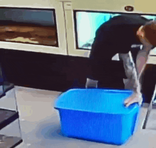 a man is reaching into a blue plastic container on the floor