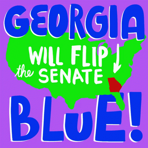 Georgia Will Flip The Senate Blue We Will Flip Georgia GIF - Georgia Will Flip The Senate Blue We Will Flip Georgia Georgia Flip GIFs