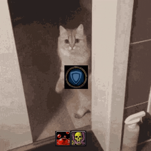 a cat is standing in a doorway with a picture of a shield and a skull .
