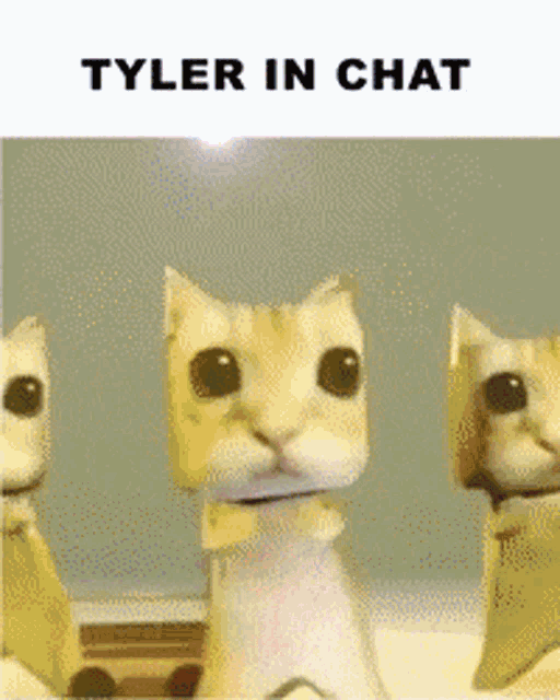 Tylerinchat Tylersolos GIF - Tylerinchat Tyler In GIFs