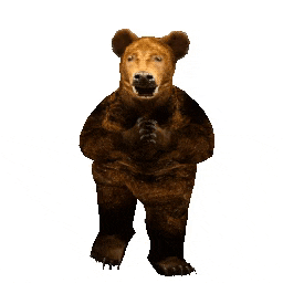 a brown bear is standing with its arms outstretched