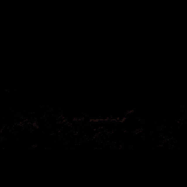 the word salamander that is on a black background