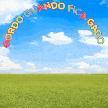 gordo quando fica gado is written in colorful letters