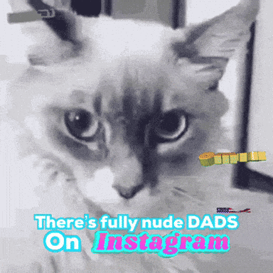 a cat with the words " there 's fully nude dads on instagram " below it
