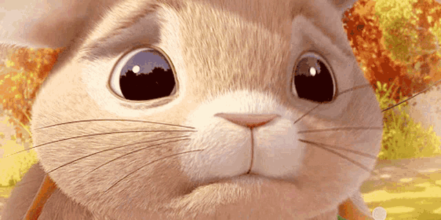 a close up of a cartoon rabbit 's face with big eyes