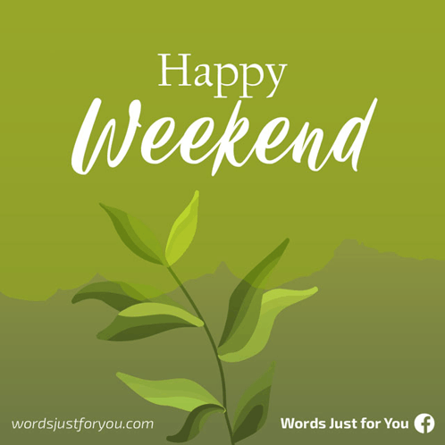 Happy Weekend Greetings GIF - Happy Weekend Greetings Plant GIFs