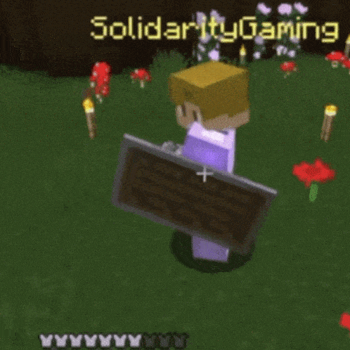 a minecraft character is holding a shield and a sword in front of a sign that says solidarity gaming
