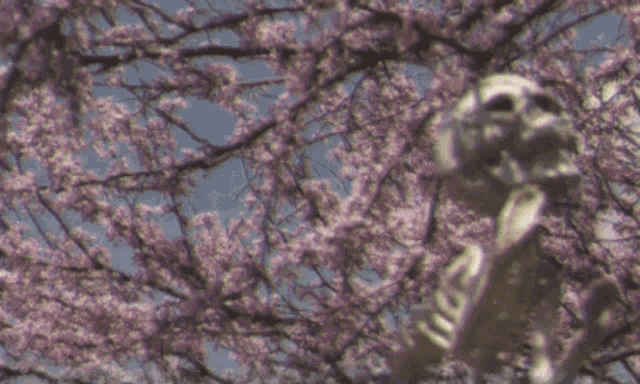a blurry picture of a statue surrounded by cherry blossom trees