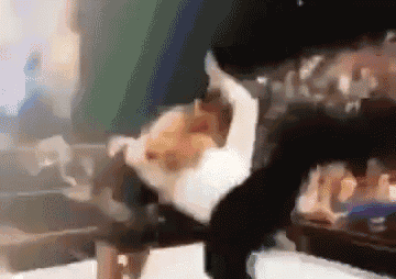 a blurry picture of a person holding a cat in their lap .