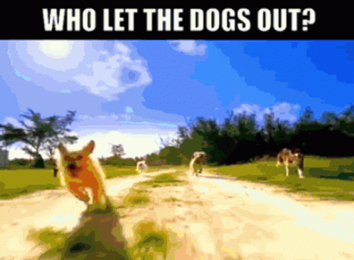 Who Let The Dogs Out Baha Men GIF - Who Let The Dogs Out Baha Men Woof GIFs
