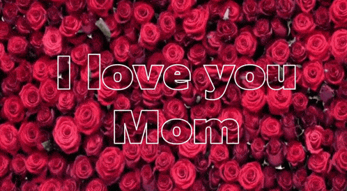 a bunch of red roses with the words " i love you mom " on it