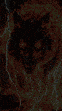 a wolf is surrounded by flames and the words welcome are written on the bottom