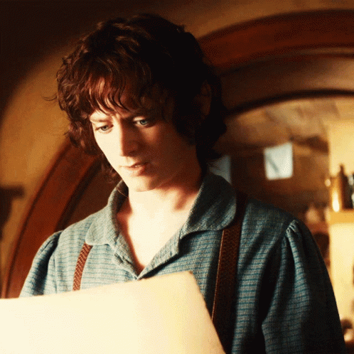 Frodo What Is This GIF - Frodo What Is This Really GIFs
