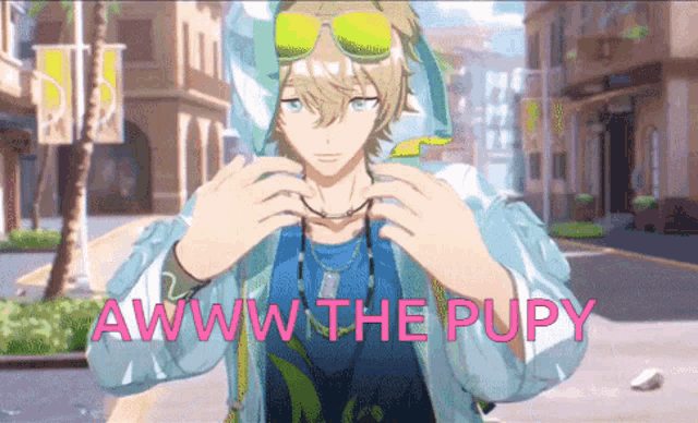a boy wearing a hoodie and sunglasses says awww the pupy in pink letters