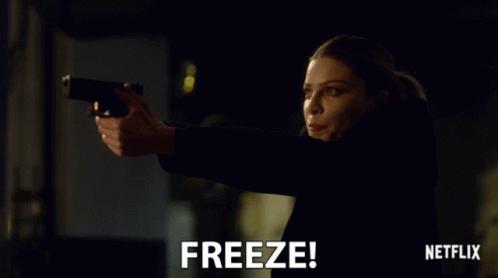 Freeze Dont Move GIF - Freeze Dont Move Stay Still GIFs
