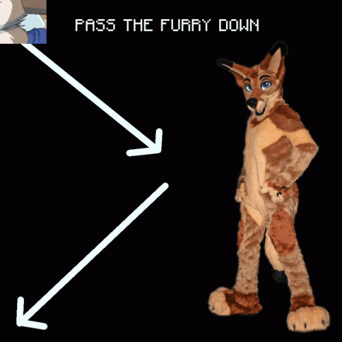 a picture of a furry dog with the words pass the furry down