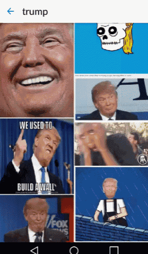 Donald Trump GIF - Donald Trump Wall GIFs